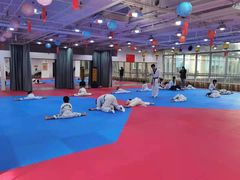 -陈中跆拳道(中关村馆)