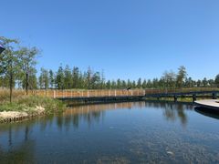 -春花秋色城市公园