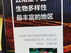 -花之城
