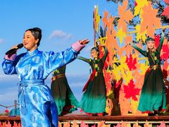 -五角枫生态旅游景区