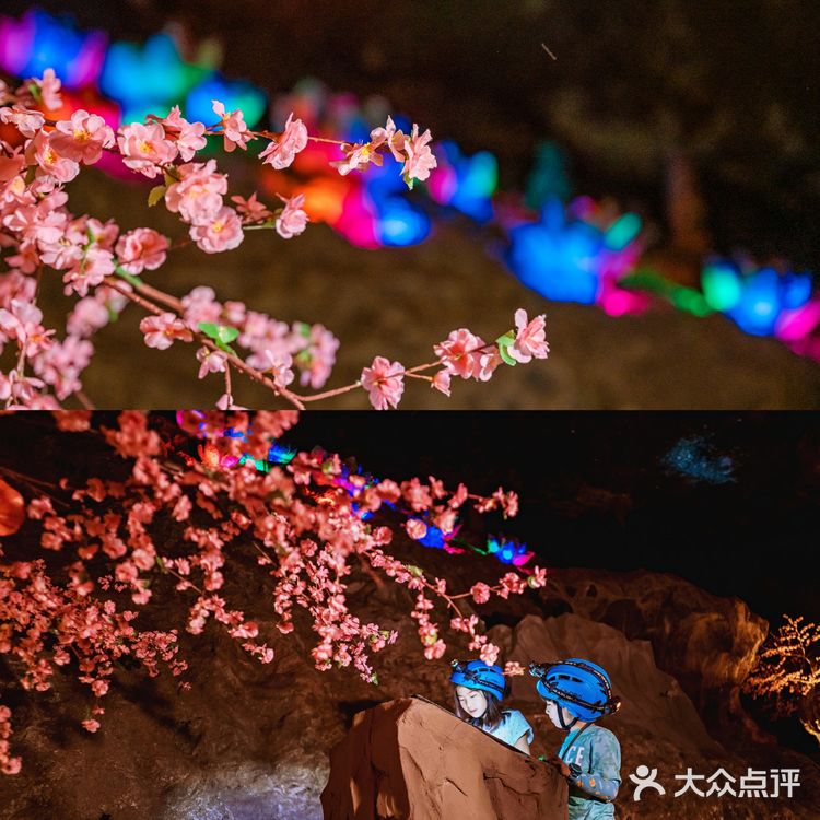 版纳亲子游Ⅰ热带雨林原来可以这么好玩！！