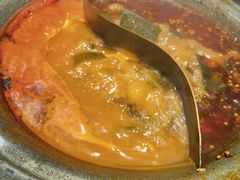 -生活如沸·顺德水牛奶火锅(大学路店)