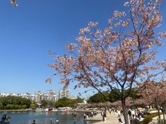 -新江湾城公园