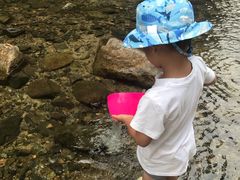 -碓臼峪自然风景区