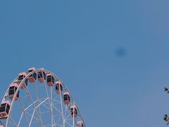 -自然谷恐龙园