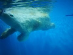 -多彩贵州城极地海洋世界