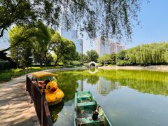 -团结湖公园