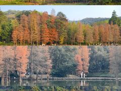 -广州市白云山风景名胜区