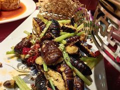 -东北大院·东北菜(三台子店)