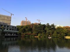 -红梅公园