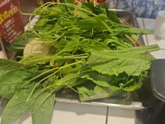 -九街淑芬掌中宝串串公司(内街文化创意园店)