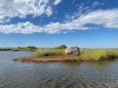 -黑龙江扎龙生态旅游区