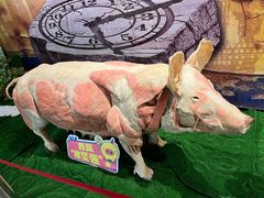 -生命奥秘博物馆