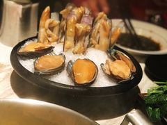 -汤城·料青山