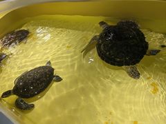 -秦皇岛新澳海底世界