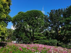 -莲花池公园