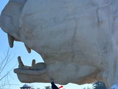 -乌素图国家森林公园