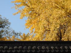 -西园戒幢律寺