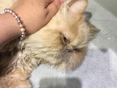 -小时光咖啡馆(开森度假森林店)