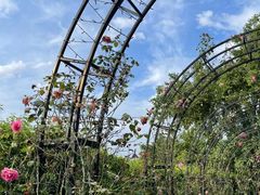 -福建鲤鱼洲酒店