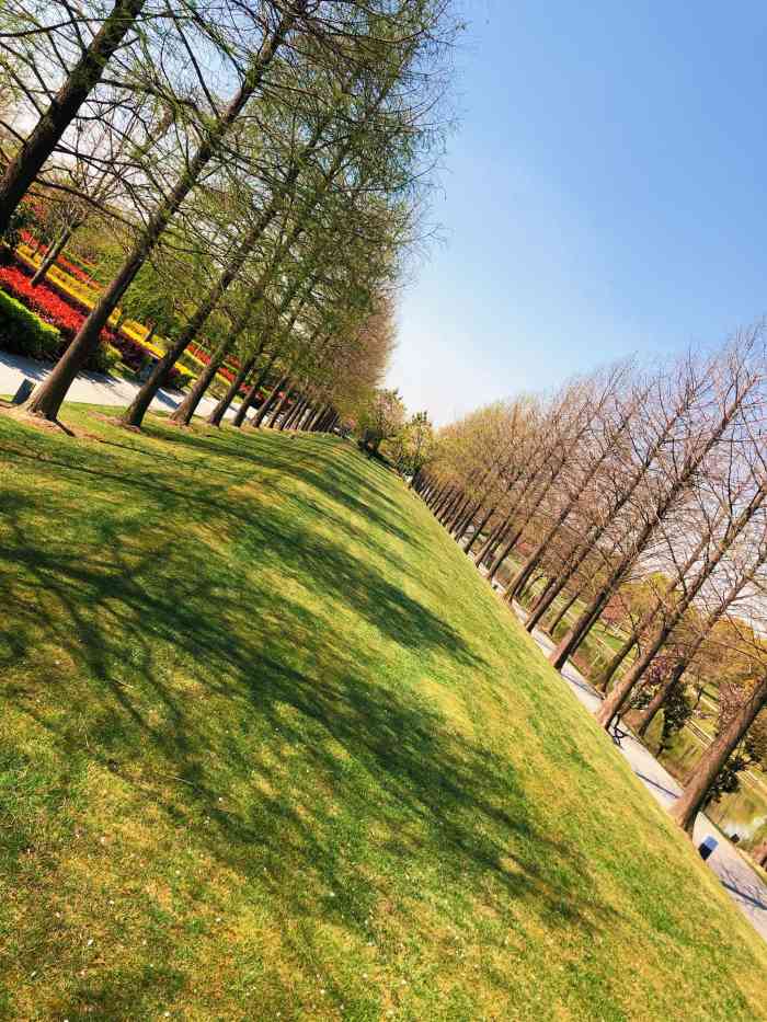 华翔绿地"相对于其他动不动30km起跳的郊野公园-大众点评移动版