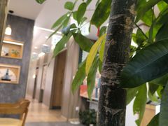 -艾柏堂8090经络·艾灸养生(御庭府邸店)