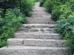 -北京西山国家森林公园