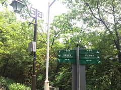 -杭州半山国家森林公园