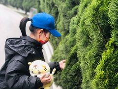 -石家庄市植物园