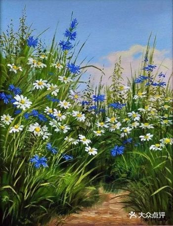 这漫山遍野的小雏菊，真美！