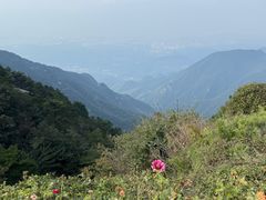 -望庐说·本地菜馆