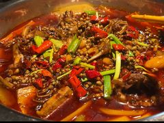 -宽口美蛙鱼头(大唐西市店)