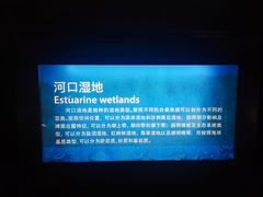 -上海长江河口科技馆