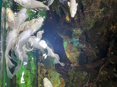 -太平洋海底世界