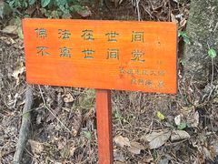 -寂照庵