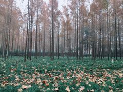 -河南省黄河迎宾馆