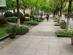 -上海市实验学校