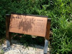 -香雪海