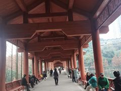-重庆彩云湖湿地公园
