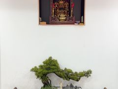 -咱家小院(汉中门店)