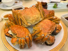 -王宝和酒家(黄浦店)