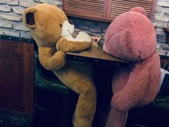 -5号公路餐厅(曼哈顿店)