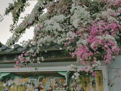 -深圳国际园林花卉博览园