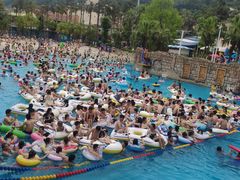-重庆海昌加勒比海水世界