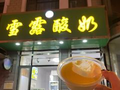 -雪露酸奶