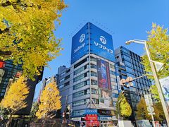 -秋叶原电器街