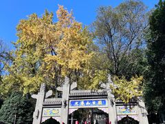 -老鼓楼汤包(太平门店)