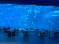 -上海海昌海洋公园-停车场