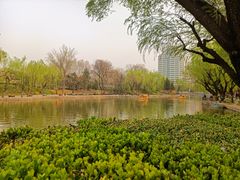 -团结湖公园