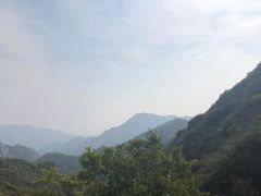 -大岭沟猕猴桃谷风景区
